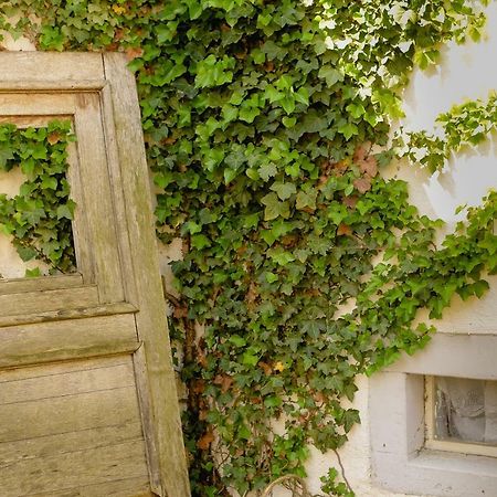 Ferienhaus Ehrenpreis Wißmannsdorf Dış mekan fotoğraf